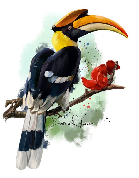 Hornbill by https://www.deviantart.com/kajenna on @DeviantArt Burung Kakatua, Rumble In The Jungle, Art Tutorials Watercolor, Bird Pictures, Art Drawings For Kids, Bird Drawings, Paint Shop, Watercolor Animals, Wildlife Art