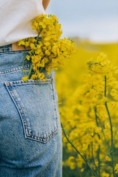 Countryside Photoshoot, Rapeseed Field, Canola Field, Sunflower Photography, Spring Photoshoot, Nature Photoshoot, Travel Pictures Poses, Creative Photoshoot Ideas, Spring Photos