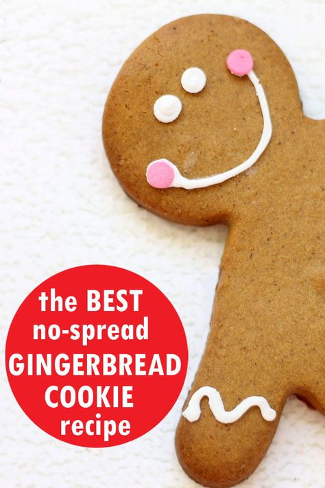 The BEST no-spread, easy, gingerbread cookie recipe, perfect for making gingerbread houses. Stevia Cookies, Easy Gingerbread Cookie Recipe, Best Gingerbread Cookie Recipe, Making Gingerbread Houses, Gingerbread Recipes, Easy Gingerbread Cookies, Gingerbread Cookie Recipe, Best Gingerbread Cookies, Gingerbread House Recipe