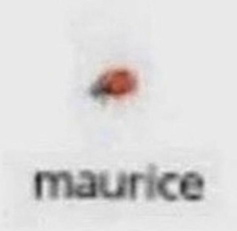 maurice Low Quality, Boyfriend Girlfriend, Hunter X Hunter, Orange, Red, White, Black