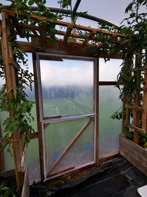 Polytunnel Layout Ideas, Polytunnel Gardening, Polly Tunnel, Polytunnel Ideas, Planting Layout, Fast Growing Climbers, Plants In Containers, Poly Tunnel, Hoop House