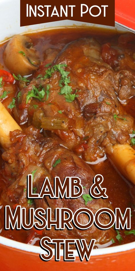 Lamb Stew Instant Pot, Lamb Stew Slow Cooker, Crockpot Lamb, Pressure Cooker Lamb, Stew Slow Cooker, Irish Lamb Stew, Beef Chilli, Rice Stew, Stew Crockpot