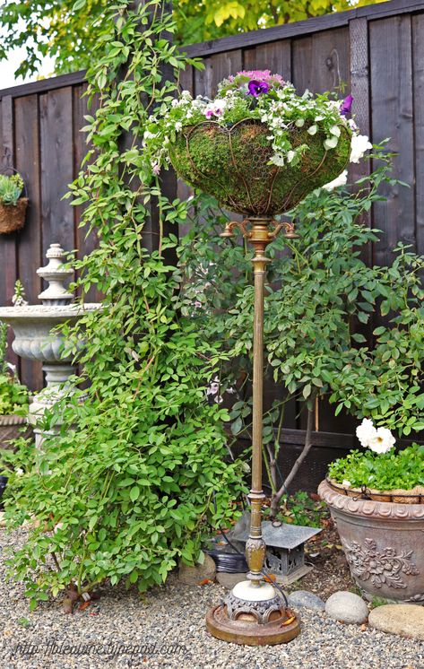 Lamp Planters, Unique Garden Decor, Garden Junk, Have Inspiration, Garden Containers, Garden Yard Ideas, Unique Gardens, Glass Garden, Garden Cottage