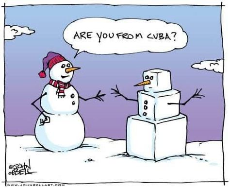 Whyatt Cartoons, Snowman Jokes, Funny Christmas Cartoons, Winter Humor, Snow Humor, Funny Christmas Jokes, Funny Xmas Cards, Snowman Cartoon, John Bell