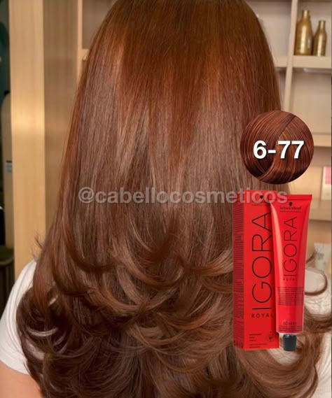 Copper Brown Hair Color Formulas, Igora Royal Chocolate Brown, Igora Hair Color Brown, Copper Brown Formula, Igora Royal Copper, Rubio Chocolate, Golden Copper Hair Color, Igora Hair Color, Copper Brown Hair Color