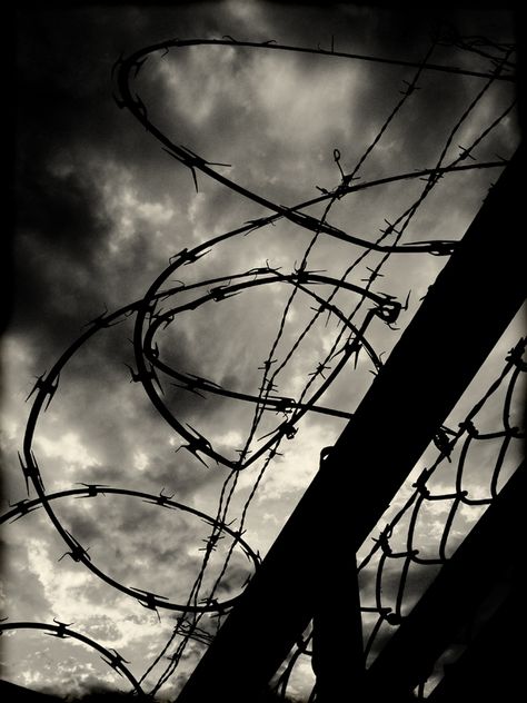 The Darkest Minds Series, Mean Streets, Apocalypse Aesthetic, Digital Story, Barb Wire, Winter Words, Picture Prompts, The Darkest Minds, Jungle Wallpaper