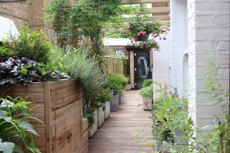 Victorian Terrace Garden Back, Victorian Terrace House Garden, Terrace House Garden Ideas, Side Return Garden Ideas, Side Return Garden, Victorian Terrace Garden, Urban Gardening Balcony, Garden Ideas Uk, Interior Courtyard