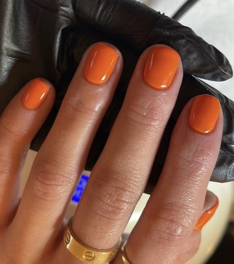 Pink Toes, Hard Nails, Neutral Nails, Orange Nails, Minimalist Nails, Summer 24, Dream Nails, Pisco, Nail Inspiration