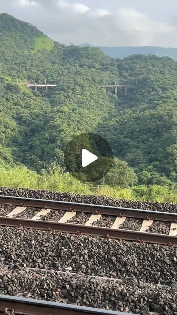 Backbancher File on Instagram: "Nature lovers 🌱
.
.
.
.
.
#railway #train #railways #of #trains #rail #trainspotting #world #railroad #our #railwayphotography #photography #trainspotter #ssc #instagram #upsc #railfans #gk #currentaffairs #railwaystation #eisenbahn #railfan #travel #europe #locomotive #india #trainphotography #ssccgl #ias #trainstagram" Railroad Art, Train Photography, Trainspotting, Long Train, Travel Europe, Railway Station, Nature Lovers, Nature Lover, Train