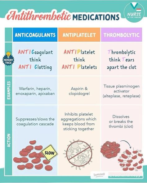 Antithrombotic Medications #nursingschool #nursingstudent #study  - Image Credits: yò Medication Cheat Sheet, Antibiotics Cheat Sheet, Med Surg Nursing Cheat Sheets, Nclex Hacks, Advanced Emt, Nurse Knowledge, Pharmacology Nursing Study, Nurse Bae, Medications Nursing