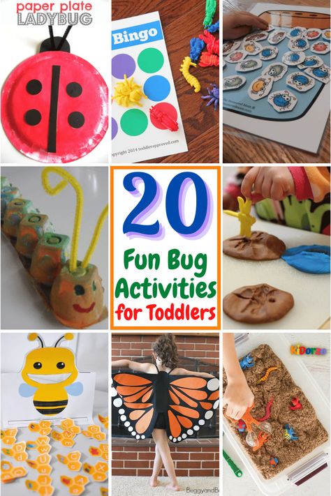 Bug Activities For Toddlers, Bugs And Insects Activities, Bug Sensory Bin, Preschool Insects Activities, Bug Activity, Insects Activities, Insect Activity, Fruit Song, Reward Board