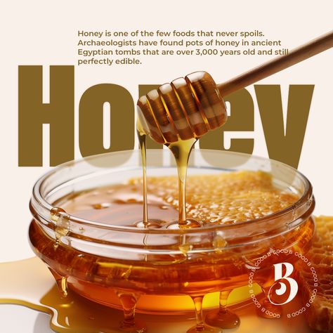 Honey Month
goodb
honey
egyptian
fact
archaeologists
tombs Honey Creative Ads, Ancient Egyptian Tombs, Honey Art, Honey Photography, Honey Brand, Honey Packaging, Honey Design, Magazine Pictures, Bakery Design