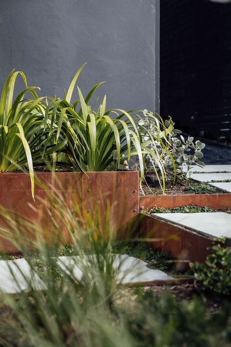 Industrial style garden incorporating corten steel garden beds and marble stepping stones to create tiered gardens to handle the contours of the front entry Steel Garden Beds, Corten Garden, Corten Steel Garden, Steel Edging, Tiered Garden, Tree Removal, Landscape Designs, Garden Edging, Corten Steel