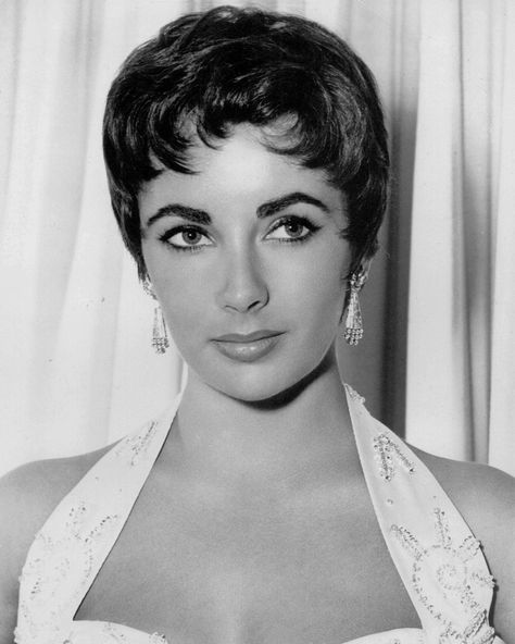 Elizabeth Taylor in Movie 'The Last Time I Saw Paris' Promotional Portrait Photo Taylor Hairstyles, Oud Hollywood, Violet Eyes, Marlene Dietrich, Actrices Hollywood, Elizabeth Taylor, Golden Age Of Hollywood, Brigitte Bardot, White Photo