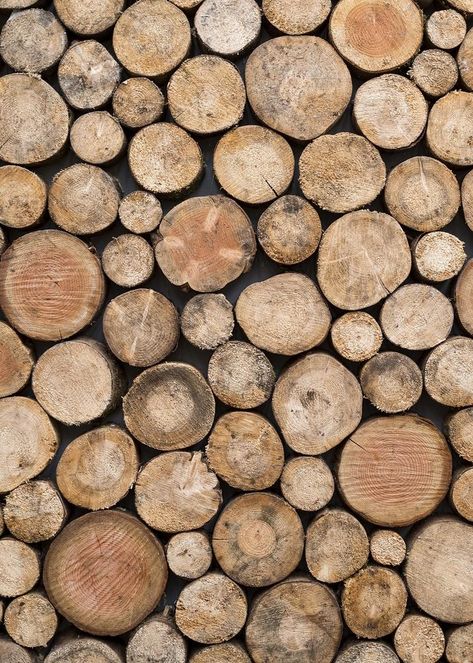 Cut wood log texture background, close up design | free image by rawpixel.com / Teddy Wood Aesthetic Background, Wood Texture Aesthetic, Logs Aesthetic, Log Texture, Tagaytay Highlands, Cm Studio, Wood Png, Wood Aesthetic, Texture Board