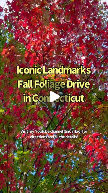 travelgramwithlaurab on Instagram: "We are very excited to announce our Fall Foliage Drive series!!!!!
We have mapped out a number of beautiful drives that take you on roads that are fun to drive, scenic with lots of great stops! 
There is far too much info to have here - so look to the Youtube channel to provide complete details - (later today that is lol)  the link is in bio!

We hope you enjoy this Fall Foliage Drive!!!!!!

#ct #connecticut #thiingstodoinconnectcut #thingstodoinct #thingstodoinconnecticutinfall #fallinct #fallinconnecticut #fallfoliagedrivesinconnecticut #fallfoliage #fallvibes #visitct 
#newmilford #bullsbridge #kentct #kentfalls #greatfallsct #canaanct #fallsvillage #villagecenterforthearts" Fall In Connecticut, Kent Ct, Autumn Drives, Travel Spots, Iconic Landmarks, Very Excited, Hiking Trip, Fall Foliage, Travel Ideas