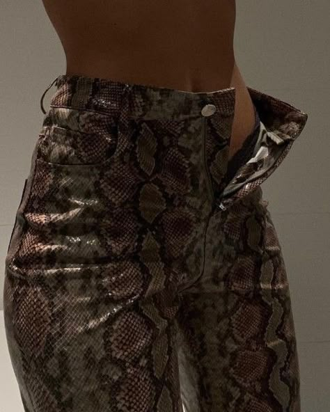 Ropa Upcycling, Makijaż Smokey Eye, Looks Style, Outfits Aesthetic, Snake Print, Classy Outfits, Aesthetic Clothes, Pretty Outfits, Fashion Inspo Outfits