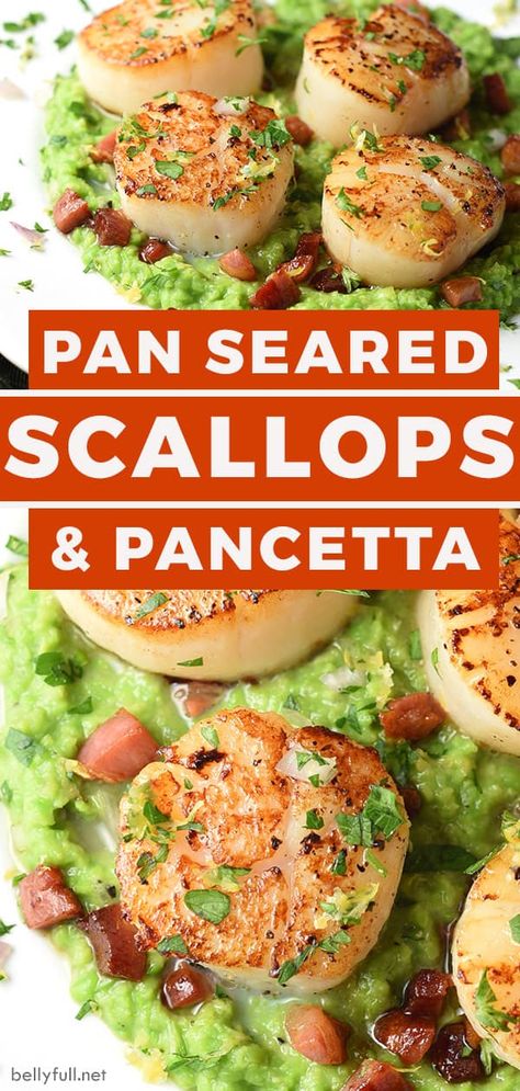 Scallops With Pea Puree, Scallops With Pancetta, Ground Beef Crockpot, Appetizers Seafood, Seafood Pasta Dishes, Pea Puree, Pancetta Recipes, Seafood Boils, Crispy Pancetta