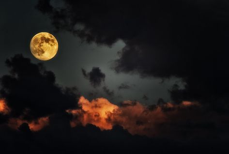 Cloudy | Coyote Hills RP, Fremont, CA | Davor Desancic | Flickr Catty Noir, Season Of The Witch, Beautiful Moon, Halloween Make, Autumn Aesthetic, Night Aesthetic, Samhain, Halloween Wallpaper, Halloween Night