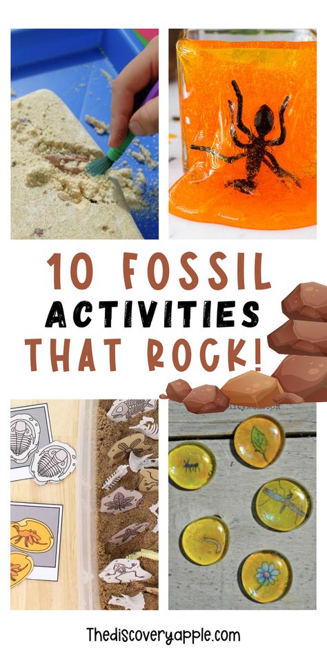 Lets go on a journey through time with these 10 awesome fossil activities for kids! From digging up fake dinosaur bones to creating your own fossil replicas, these hands-on experiments promise fun and learning for young explorers. Perfect for sparking curiosity and imagination! These activities are sure to make learning about fossils an unforgettable experience for your students or children! Fossils Science Project, Fossil Activity 3rd Grade, Dinosaur Fossil Preschool Activities, Dinosaur Fossil Activity, Archeology Activities For Kids, Dino Fossil Craft, Grand Canyon Activities For Kids, Paleontologist Activities For Kids, Fossils Activities For Kids