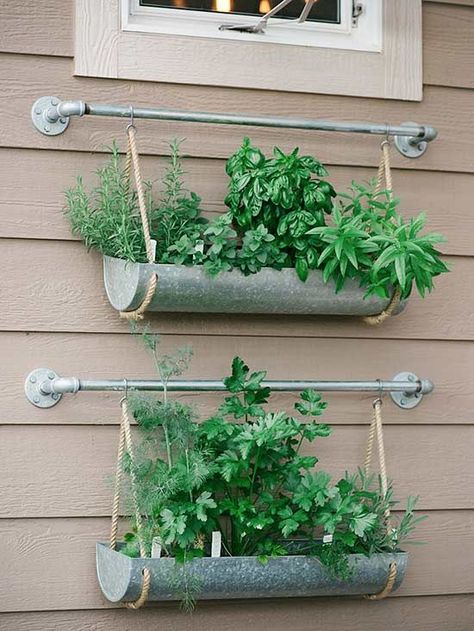 Even if you have a small backyard (or no yard at all), you can still grow a DIY herb garden full of tasty plants like basil, cilantro, rosemary, and more. @twotwentyone shows you how. Vertical Herb Gardens, Gutter Garden, Outdoor Herb Garden, Vertical Garden Design, Diy Herb Garden, Herb Garden Design, Vertical Herb Garden, Vertical Garden Diy, Planting Ideas