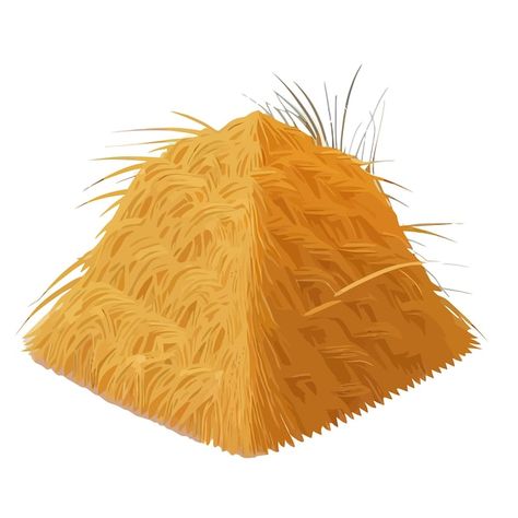 Hay golden dry grass pile isolated on ba... | Premium Vector #Freepik #vector #hay #wheat-field #harvest #crops Infographic Ideas, Grass Vector, Wheat Field, Wheat Grass, Premium Vector, Wheat, Graphic Resources, Vector Illustration, Quick Saves