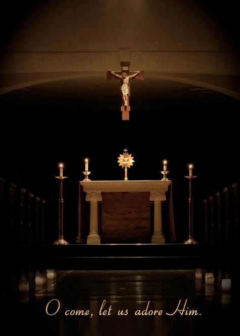 EUCHARiSTiC ADORATiON ♥ Holy Hour, Holy Eucharist, Eucharistic Adoration, Blessed Sacrament, Come Let Us Adore Him, The Eucharist, Catholic Images, Catholic Priest, Religious Images