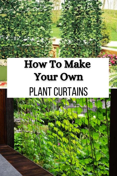 In this post, we’ll cover all the steps for both faux plant curtains and living plant curtains. You’ll find a list of materials and detailed steps, which will give you a great set of plant curtains. Curtain Plants Outdoor, Living Curtains Plants, Plants As Curtains Window, Plant Curtain Window, Plants As Curtains, Balcony Hacks, Mindfulness Garden, Outdoor Bamboo Curtains, Curtain Plants