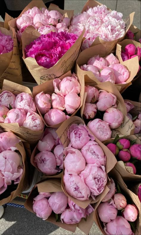 Nothing But Flowers, Flowers Aesthetic, Flower Therapy, Beautiful Bouquet Of Flowers, Luxury Flowers, Beautiful Bouquet, Pink Peonies, 2024 Vision Board, Love Flowers