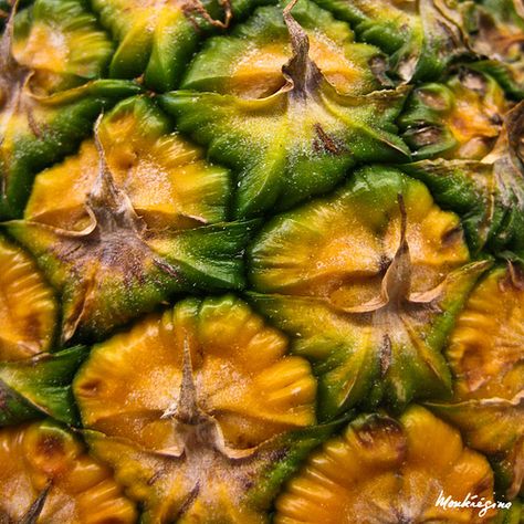 ♥ ⊱╮Texture of pineapple skin Skin Texture Photography, Natural Forms Gcse, Pineapple Photography, Pineapple Skin, Macro Fotografie, Foto Macro, Food Texture, Fruit Photography, Texture Photography