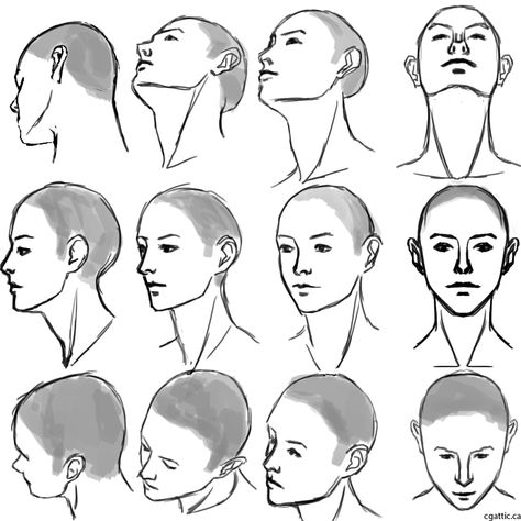 Head angles & hairline Draw A Head, Head Drawings, Side View Of Face, Side View Drawing, Realistic Eye Drawing, Tree Drawings Pencil, Drawing Examples, Drawing Heads, 얼굴 그리기