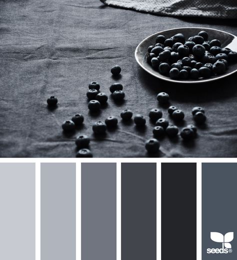 berry tones Today's Inspiration, Berry Tones, Pantone 2020, Grey Palette, Florida House, Color Palate, Design Seeds, Trik Fotografi, Colour Board