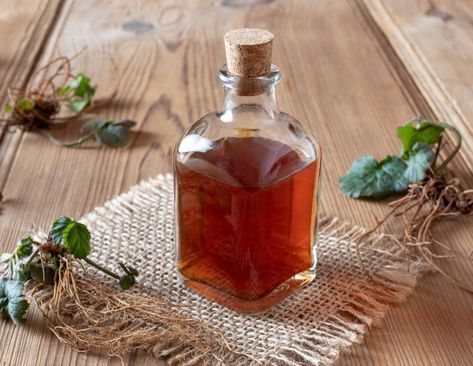 How to Make Wood Avens Root Tincture and Use at Home #woodavens #woodavenstincture #woodavensextract #healingroots #roottea #healingherbs #herbs #medicinalherbs #geumurbanum Apothecary Decor, Calamine Lotion, Calming Tea, Types Of Herbs, Herb Recipes, Herbal Tinctures, Toenail Fungus, Organic Herbs, Healing Herbs