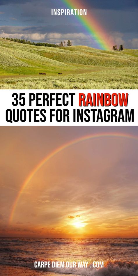 35+ Perfect Quotes for rainbows and Rainbow captions for Instagram | Rainbow captions instagram funny | inspirational rainbow captions | beach rainbow captions | rain and rainbow captions Rainbow Funny Quotes, Rain And Rainbow Quotes, Chasing Rainbows Quotes, Rainbow Sayings For Kids, Rainbow Instagram Captions, Storm Captions, Quotes About Rainbows Inspirational, Rainbow Quotes Inspirational Short, Rainbow After The Storm Quote