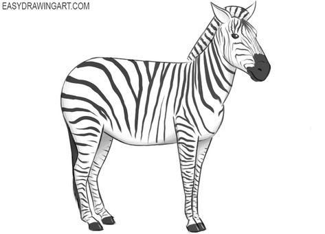 How to Draw a Zebra Zebra Drawing Easy, How To Draw A Zebra Step By Step, Zebra Easy Drawing, Zebra Drawing Reference, Zebra Sketch, Zebra Head Drawing, Zebra Drawing, Zebra Head, Symbol Drawing