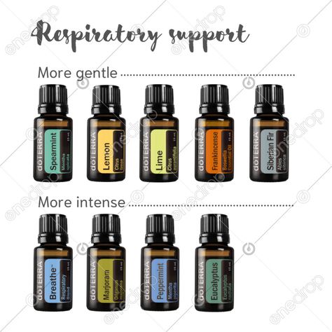 Oils for respiratory support, more gentle and more intense options #respiratory support #respiratory health #breathe #Eucalyptus #lime #siberian fir #frankincense #lemon #peppermint #wellnessadvocate #doterra #wellnessstockphotos #onedropdesigns #doterrawellnessadvocate #doterratips #doterragraphics #doterraphotos Oils For Respiratory Support, Essential Oil For Bronchitis, Abdominal Pain Relief, Chest Infection, Doterra Recipes, Siberian Fir, Chronic Cough, Honey Water, Doterra Wellness Advocate