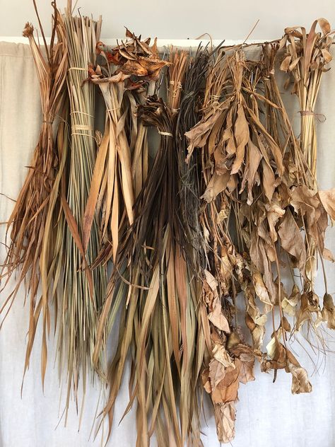 Plant Fiber Weaving, Foraged Fibres, Flax Weaving, Basket Weaving Diy, Weaving Loom Diy, Fiber Sculpture, Natural Baskets, Plant Fibres, Flower Diy Crafts