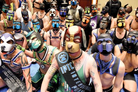 Pup Play Human, Pup Hood, Dog Noises, Pup Play, Unholy Trinity, Masked Men, Pet Play, Pet Spaces, Dog Mask