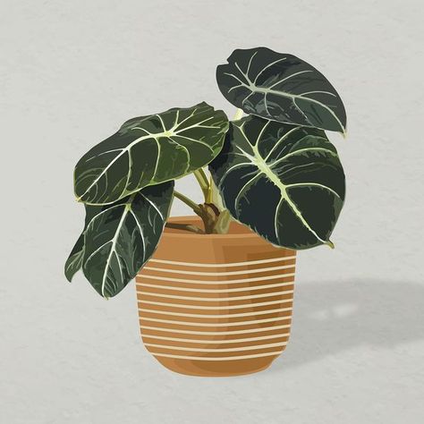 Plant vector art, Monstera illustration | Premium Vector - rawpixel Monstera Illustration, Leaf Vector, Alocasia Plant, Plant Vector, Art Stuff, Interior Decoration, Classroom Decor, Home Interior, Potted Plants