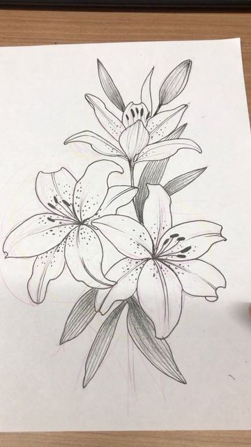 Lily Drawing, Flor Tattoo, Lilies Drawing, Wrist Tattoo Ideas, Wrist Tattoo Designs, Japanese Flower Tattoo, Crazy Tattoos, Tattoo Art Drawings, Desenho Tattoo