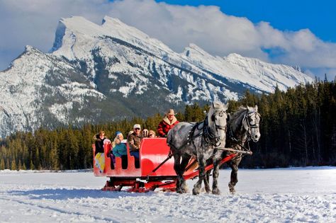 Sleigh Rides in Banff National Park | Banff & Lake Louise Tourism Banff Activities, Gunnison Colorado, Sled Ride, Colorado Winter, Mountain Scenery, Park Pictures, Winter Getaway, Lake Louise, Horse Drawn