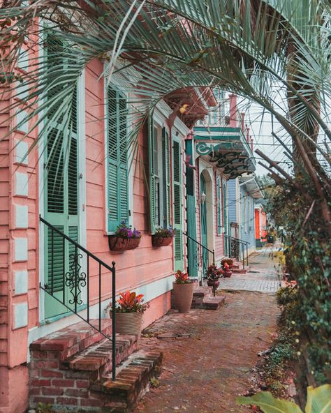 Colorful houses in the Garden District // The Most Instagrammable Spots in New Orleans // #readysetjetset www.readysetjetset.net New Orleans Photography, New Orleans Garden District, Bar Restaurant Design, Hotel Monteleone, Architecture Restaurant, New Orleans Vacation, Creole Cottage, Louisiana Bayou, Louisiana Travel