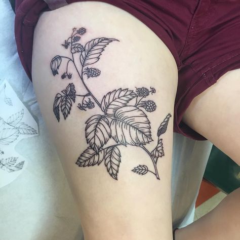 Wild Raspberry Tattoo, Raspberry Bush Tattoo, Bitterroot Tattoo, Raspberry Vine Tattoo, Raspberry Tattoo, Collarbone Tattoo, Raspberry Bush, Tattoo Practice, Vine Tattoos