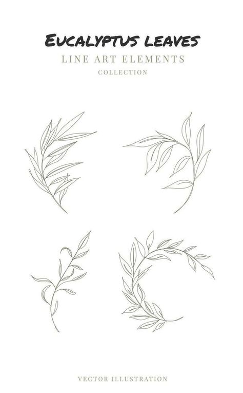 Eucalyptus leaves hand drawn one line drawing. Floral elements line art. Vector illustration Line Art Eucalyptus, Eucalyptus Drawing, Line Drawing Leaves, Eucalyptus Illustration, Line Drawing Floral, Drawing Floral, Art Vector Illustration, Line Art Vector, One Line Drawing