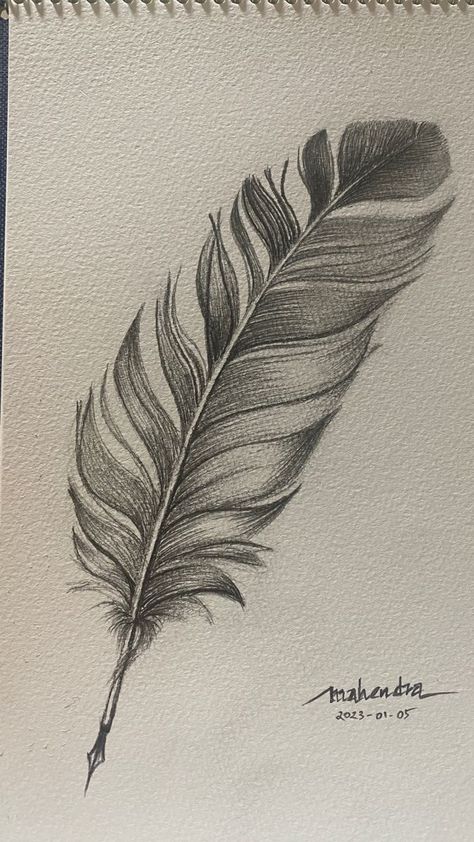 Ballpoint Pen Drawing Sketches, Quill Drawing, Feather Art Drawing, Feathers Drawing, Drawing Feathers, Feather Sketch, Line Art Lesson, Hatch Drawing, Biro Drawing