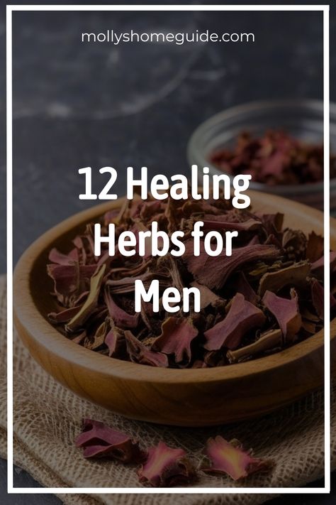 Discover the power of herbs for men's health with this curated collection of natural aphrodisiacs and male hormone support remedies. Learn about the best herbs for men's wellness, including those for libido, fertility, and impotence. Explore the benefits of herbs for sexual health and reproductive well-being. Incorporating these powerful botanicals into your routine can help enhance male vitality and overall well-being. Take a step towards holistic wellness with these potent herbs specifically t Herbs For Health Medicine, Herbs For Men, Apothecary Supplies, Herbs For Healing, Benefits Of Herbs, Medicinal Herbs Remedies, Healthy Movement, Medicine Recipes, Longevity Recipes