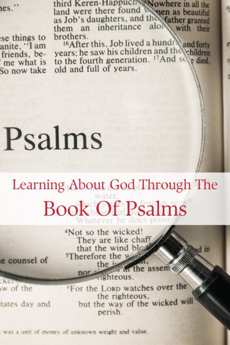 Knowing God Through The Book Of Psalms - StoneGable Sunday Scripture, Jobs Daughters, Stone Gable, Bible Sayings, Book Of Psalms, Books Of The Bible, Knowing God, Inspiring Words, Bible Journaling