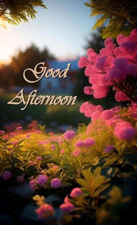 Good Afternoon Quotes For Her, Afternoon Pictures, Afternoon Messages, Good Afternoon Quotes, Afternoon Quotes, Good Morning Beautiful Pictures, Morning Funny, Good Morning Funny, Night Wishes