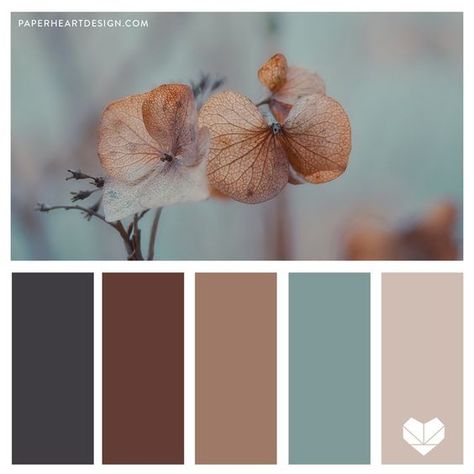 Color Palette: Mocha Mousse Pantone 2025 Color of the Year — Paper Heart Design Co. Pantone Colors 2025, Mocha Pantone, Mocha Mousse Pantone, Fabric Color Combinations, 2025 Color, Cacao Chocolate, Chocolate And Coffee, Mocha Mousse, Brown Color Palette