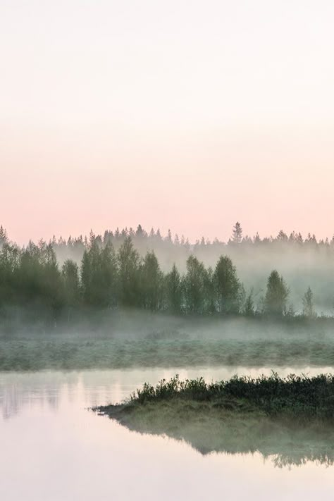 Sweden Forest, Sun Dawn, Jonna Jinton, White Landscape, Sweden Travel, Misty Forest, My Favourite Things, Scandinavia, In Summer